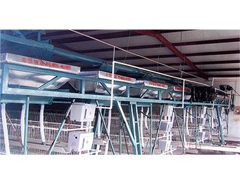 蛋、種雞自動(dòng)給料機(jī)